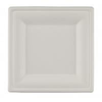 Bagasse compostable square plate 10 25 26cm