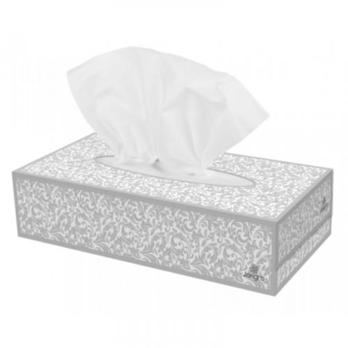 Jangro premium luxury facial tissues 2 ply white 100 sheets