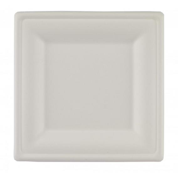 Bagasse compostable square plate 10 25 26cm