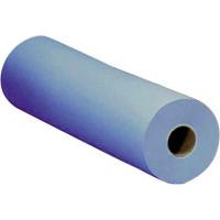 Tork 2 ply hygiene couch roll blue 48cm 19